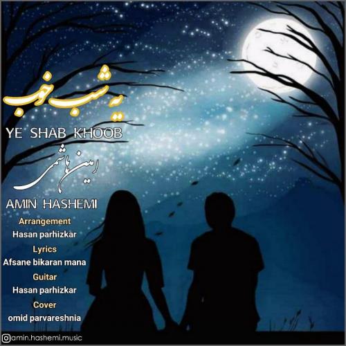 امین هاشمی یه شب خوب